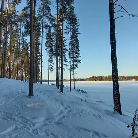 Alpesi faház Maentysaari Luonnonrauhaa Kaupungin Laehellae. Kontiolahti