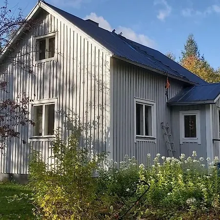 Mantysaari Luonnonrauhaa Kaupungin Lahella. Kontiolahti