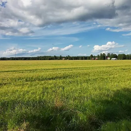 Alpehytte Maentysaari Luonnonrauhaa Kaupungin Laehellae.