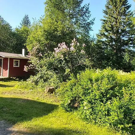 Alpesi faház Maentysaari Luonnonrauhaa Kaupungin Laehellae. *