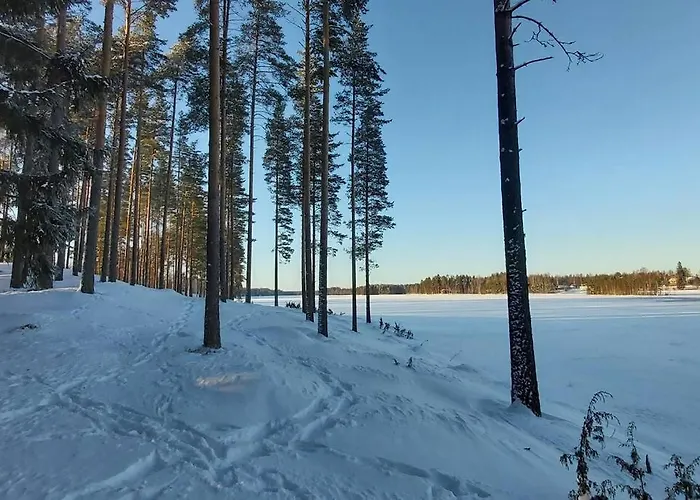 Alpstuga Maentysaari Luonnonrauhaa Kaupungin Laehellae. Kontiolahti