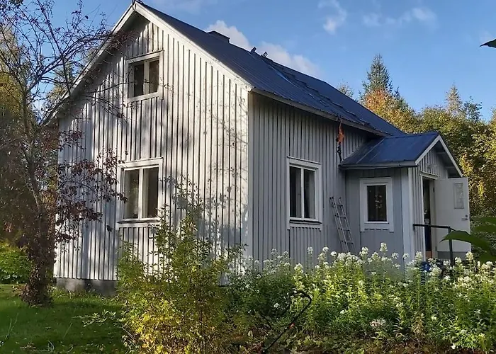 Maentysaari Luonnonrauhaa Kaupungin Laehellae. Kontiolahti