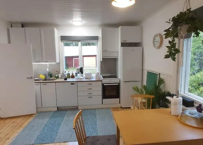 Maentysaari Luonnonrauhaa Kaupungin Laehellae. Kontiolahti