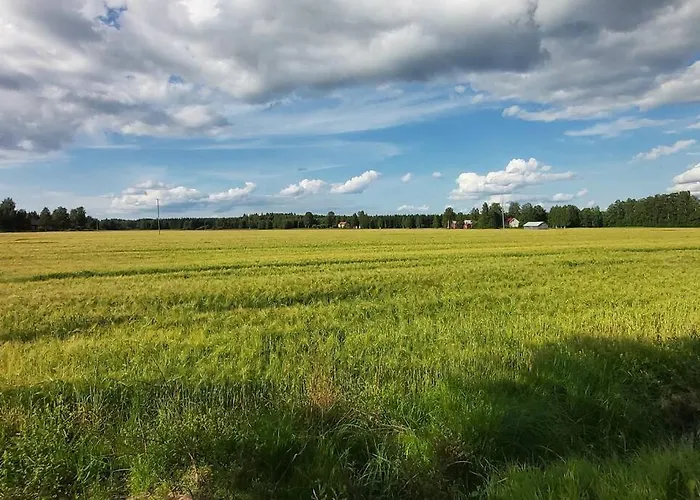 Alpstuga Maentysaari Luonnonrauhaa Kaupungin Laehellae.