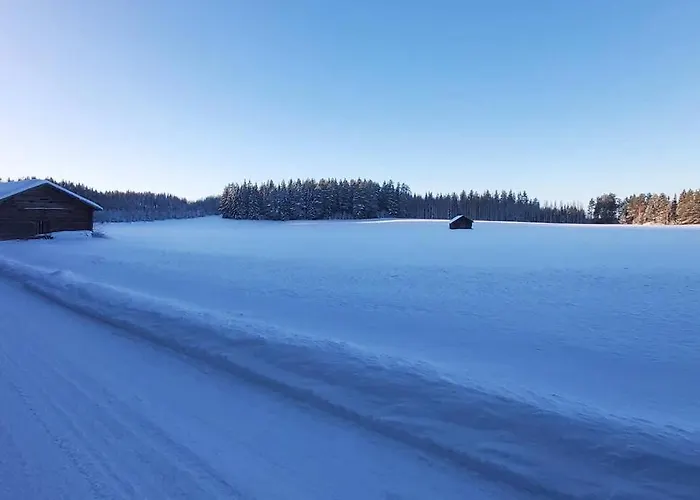 Chalet Maentysaari Luonnonrauhaa Kaupungin Laehellae. Kontiolahti
